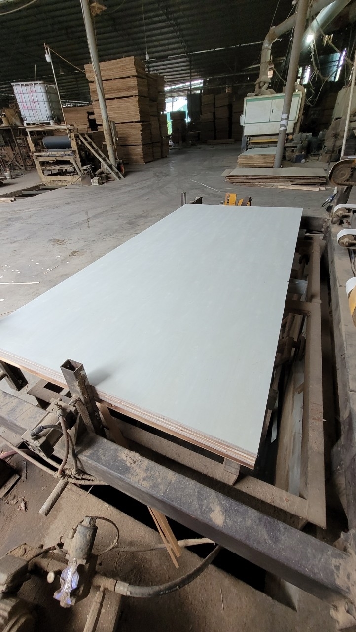 Poplar plywood