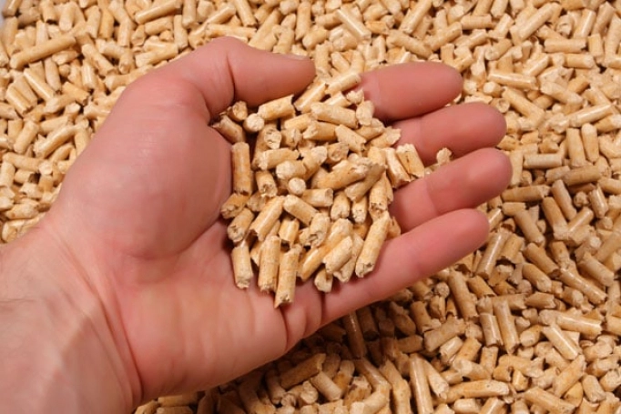 wood-pellets-market.webp